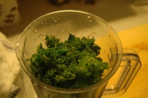 green cabbage before the mixer