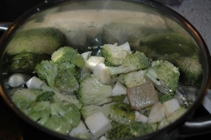 Celery and Broccoli in Stock