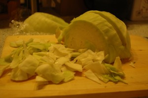 Sliced Cabbage Sliced Cabbage