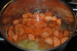 Potato and Carrot Cubes in water Potato and Carrot Cubes in water