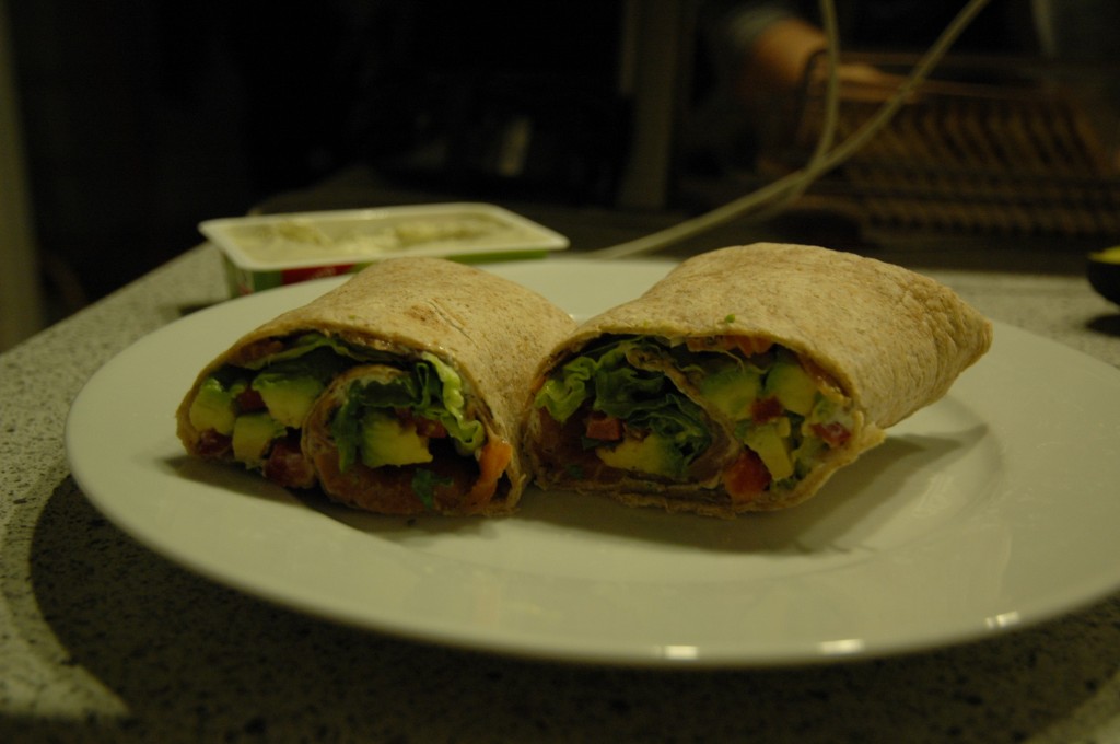 Salmon Avocado Wrap