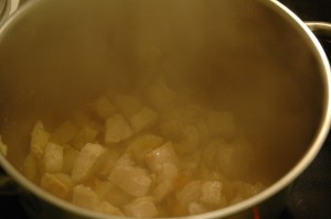 Cooked Onions and Pork Pieces