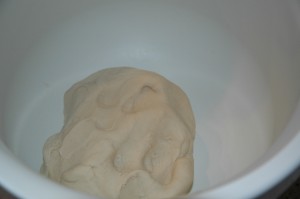 Yeast Sponge