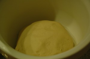 Yeast Sponge after 30 minutes