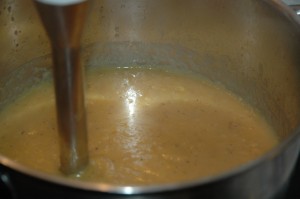 Pureed Vegetable Soup