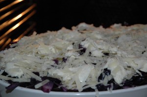 Parmesan Mozzarella Crust