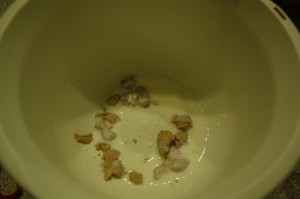 Yeast in Buttermilk