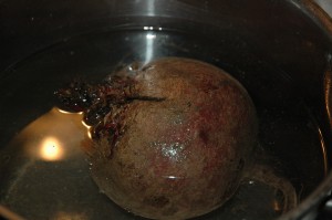 Beet Root in Water