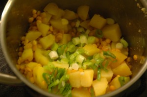 Lentils and Spring Onion