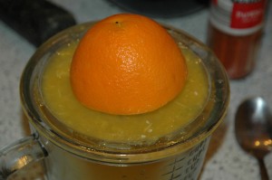 Freshly Squeezed Orange Juice