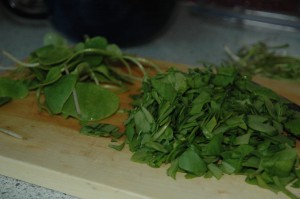 Chopped Spring Beauty