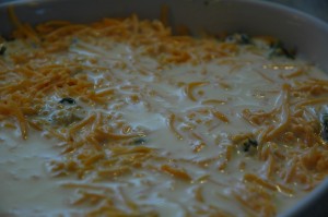 Unbaked Gratin