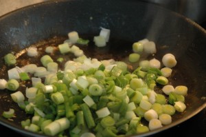 Spring OSpring Onion and Garlicnion
