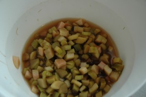 Rhubarb with Sugar and Juice