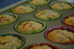 Baked Cupcakes