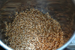 Washed pearld spelt