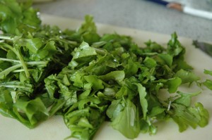Rucola