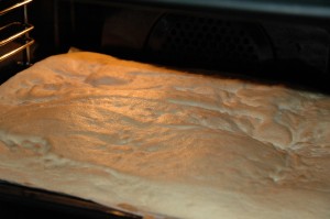 Baked Sponge Dough
