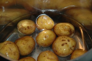 Potatoes