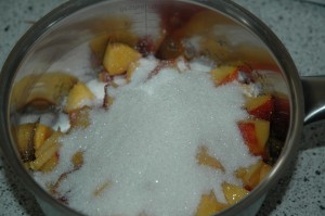 Nectarine Dice and Sugar