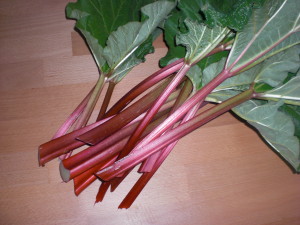 rhubarb