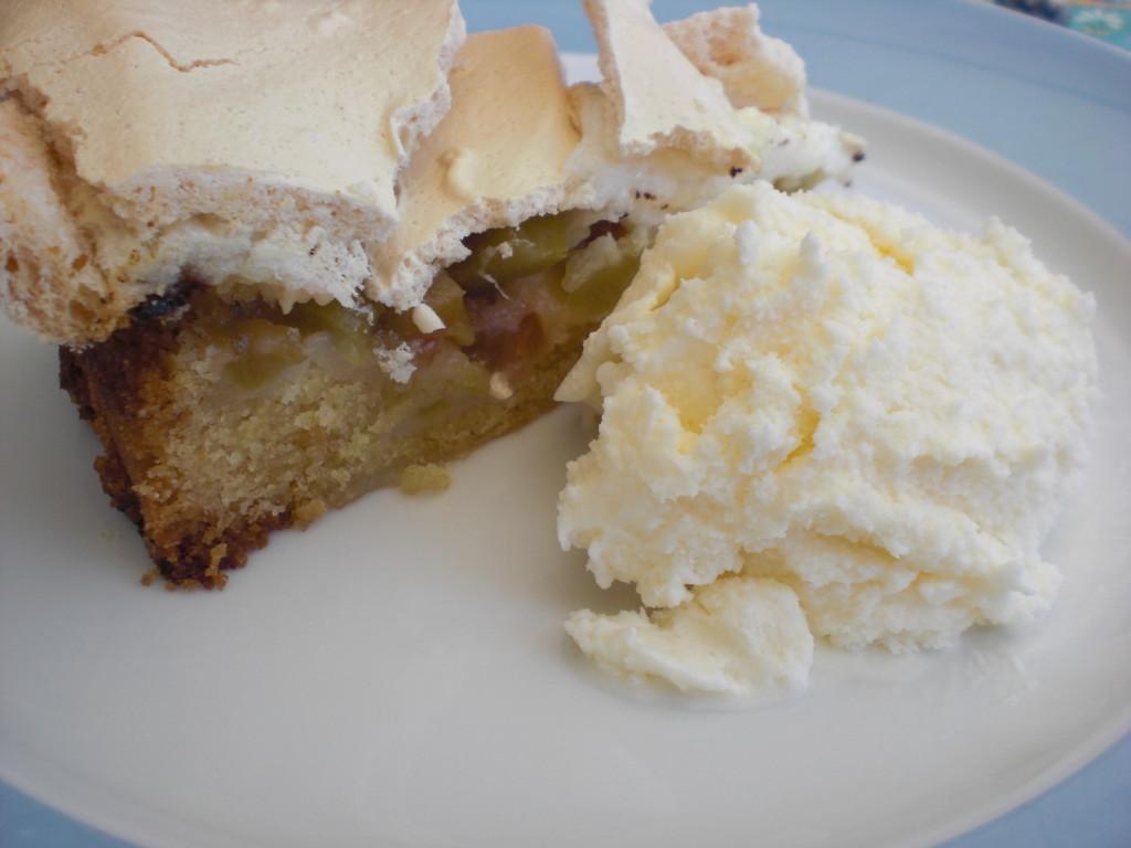 rhubarb_cake_with_ice_cream