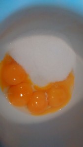 egg yolk